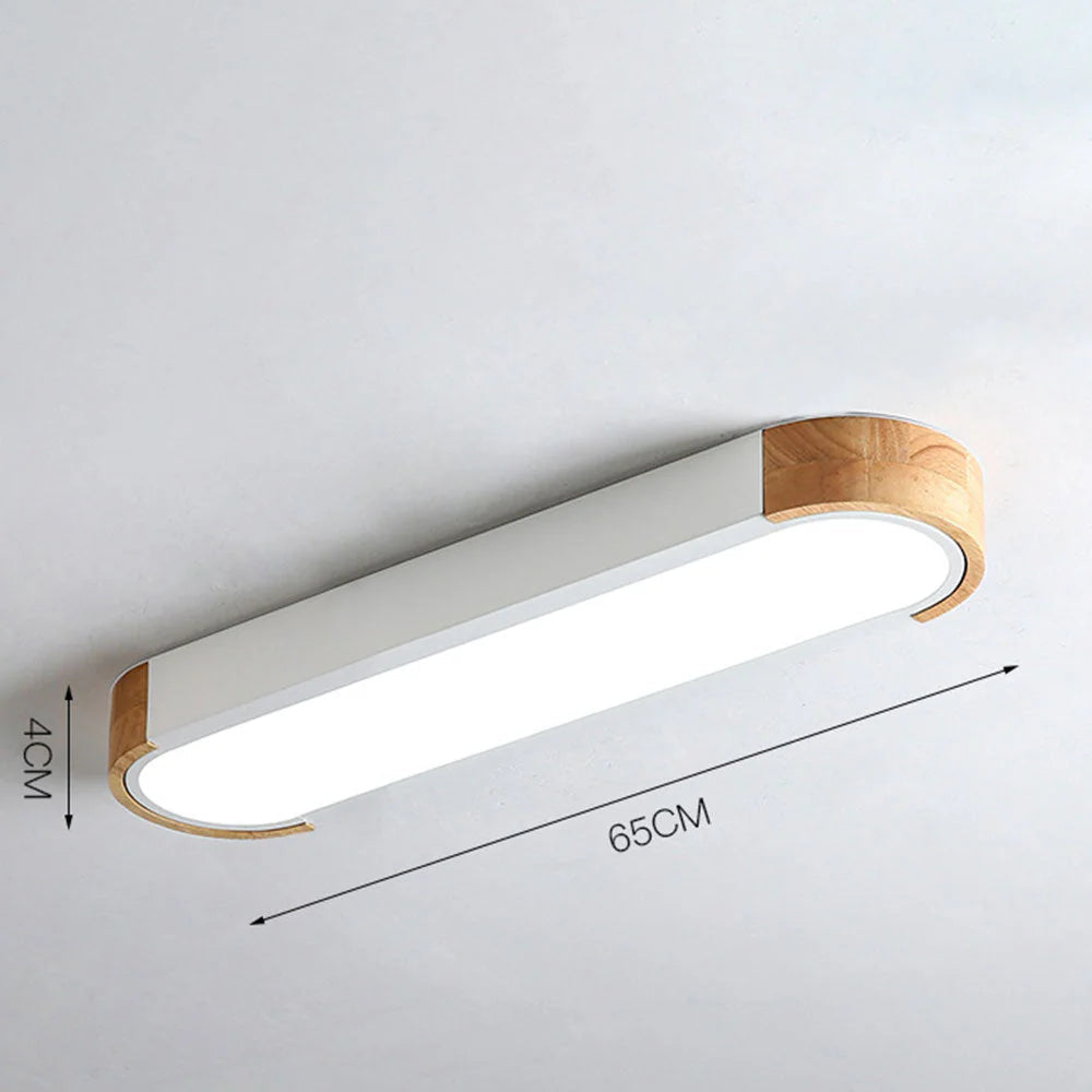 Modern Zenith Ceiling Light