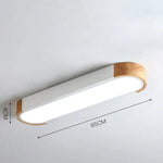 Modern Zenith Ceiling Light