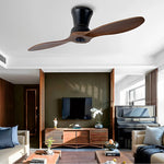 2 Blades 18W Modern Ceiling Fan Ha086021