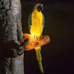 Animal Shape Outdoor Lights Ha080331