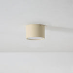 Macaroon Style Led Ceiling Light