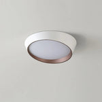 Maple Glow Ceiling Light