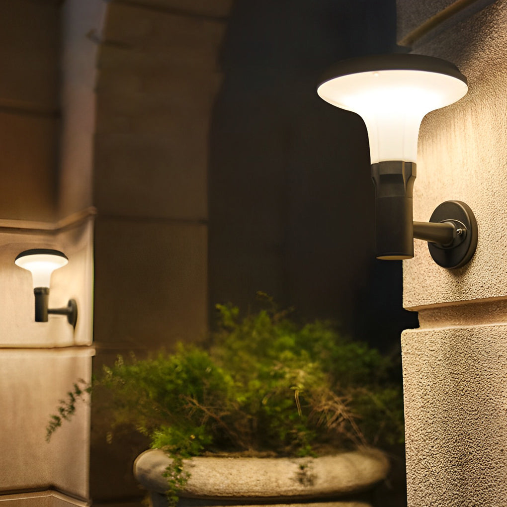 Round Flower Wall Sconces Ha076260