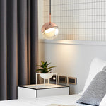 Round Nordic Led Pendant Light Li002421