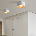Bowl Shaped Led Ceiling Light Li002070