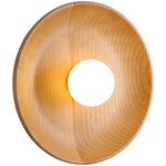 Vector Wall Fixture