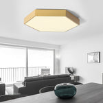 Lighting Ceiling Lights Flush Mount Lighting_4Vh95