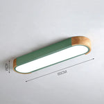 Modern Zenith Ceiling Light