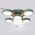 Lumi Cluster Acrylic Ceiling Light