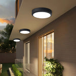 Outdoor Waterproof Ceiling Lamp