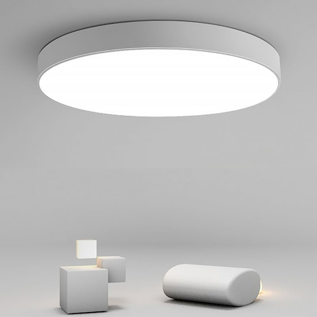 Lighting Ceiling Lights Flush Mount Lighting_Tli00157