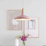 Vivid Cone Modern Pendant Light