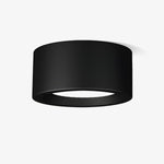 Ethan Modern LED Flush Mount Ceiling Light in Black or White