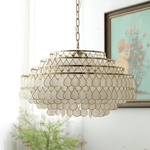 Teardrop Shell Chandelier in Gold Finish with Natural Shell Shades