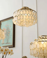 Teardrop Shell Chandelier in Gold Finish with Natural Shell Shades