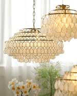 Teardrop Shell Chandelier in Gold Finish with Natural Shell Shades
