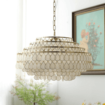 Teardrop Shell Chandelier in Gold Finish with Natural Shell Shades