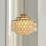 Teardrop Shell Chandelier in Gold Finish with Natural Shell Shades