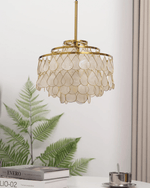Teardrop Shell Chandelier in Gold Finish with Natural Shell Shades
