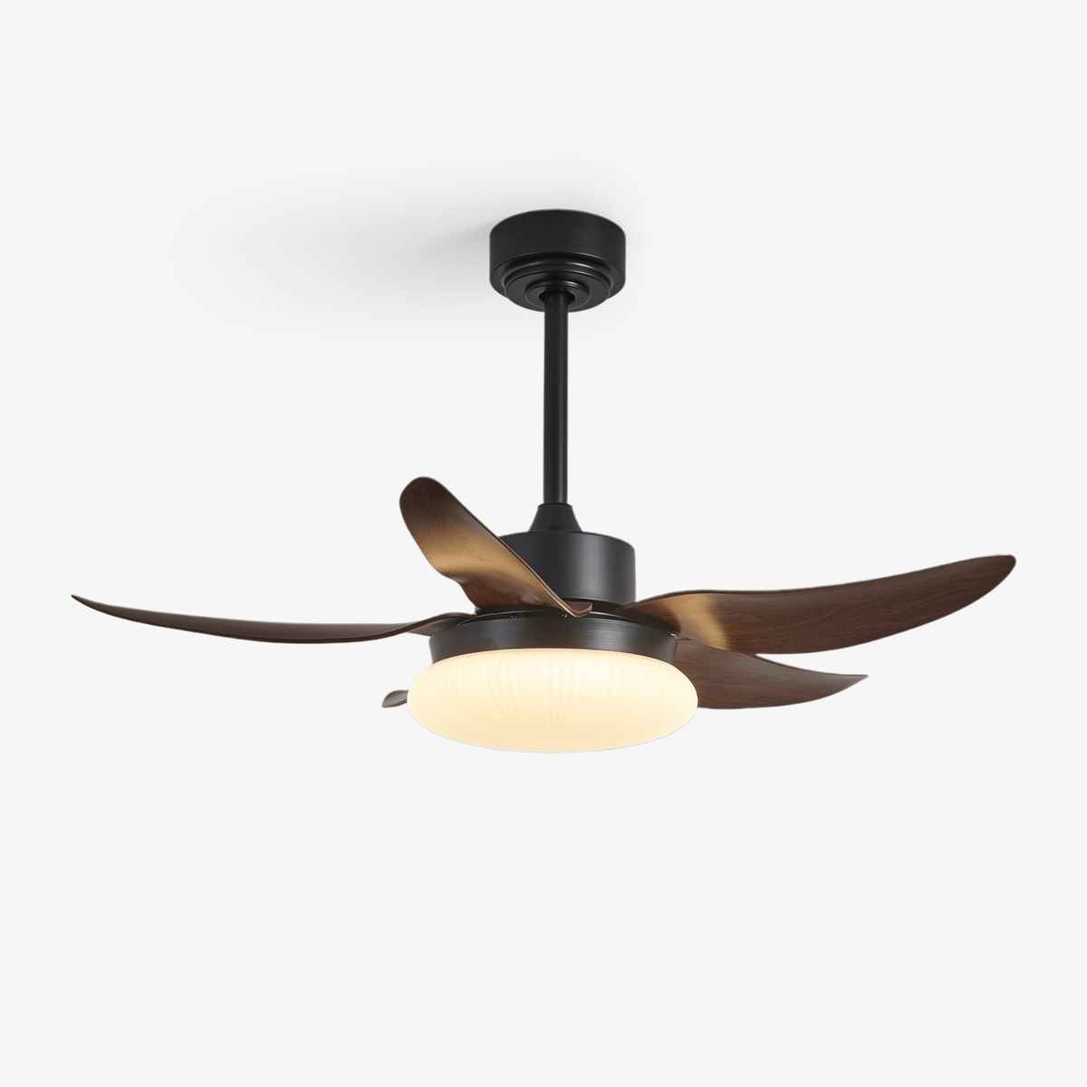 Aero Palm Ceiling Fan Light with LED Dome and Walnut Blades