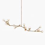 Lunaris Branch Chandelier — Sculptural Brass & Glass Pendant Light