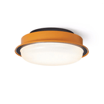 Caelan Modern Flush Mount Ceiling Light with Amber Ring and Glass Dome