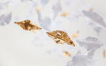 Sculptural Glass Leaf Chandelier — Twisted Modern Pendant for Grand Interiors