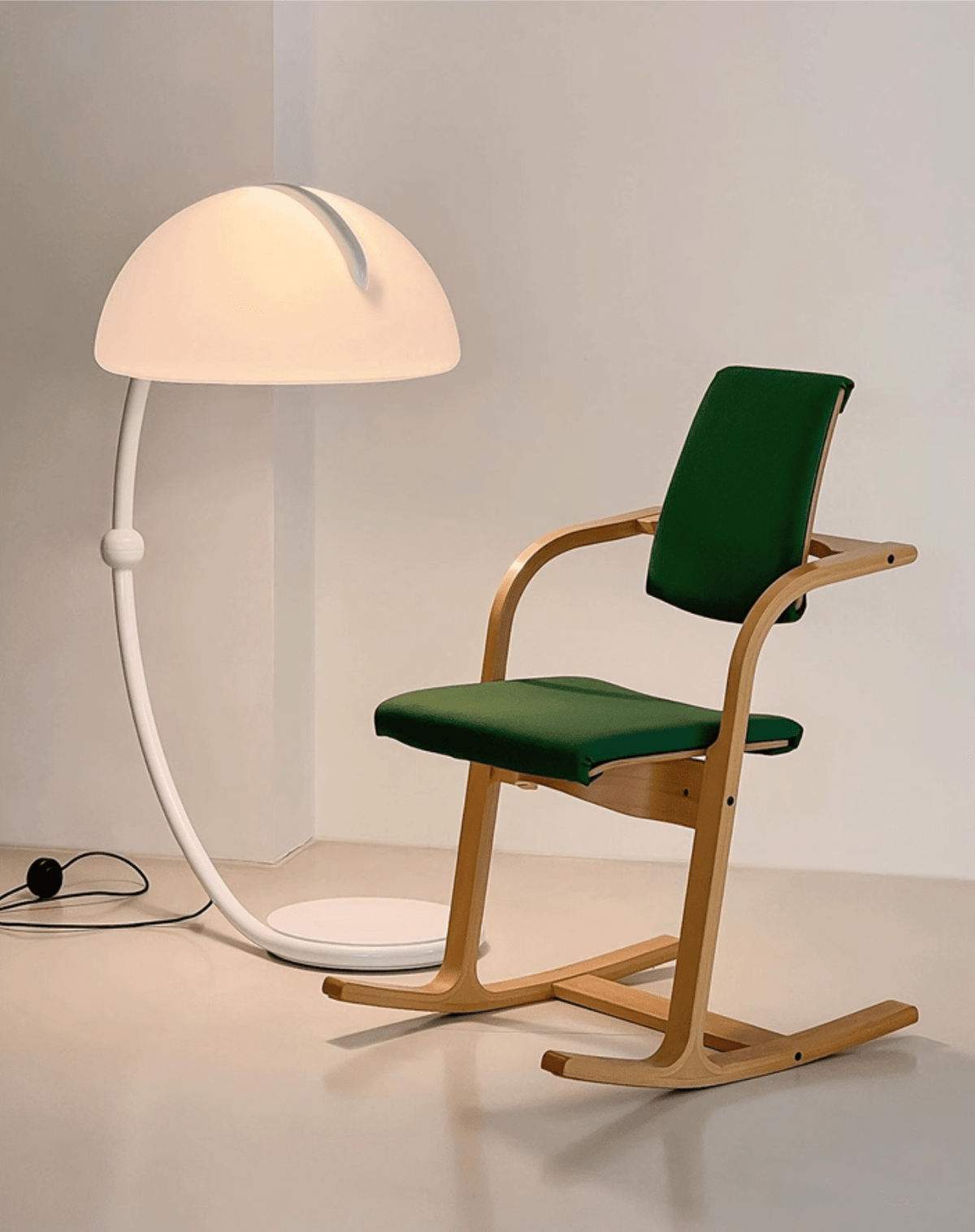 Arc Dome Floor Lamp – Modern Curved LED Floor Light for Living Room & Bedroom