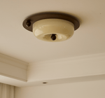 Eclipse Charm LED Ceiling Light in Walnut and Opal Glass