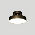 Meridian Rotatable LED Ceiling Light in Brass and Acrylic