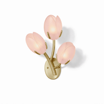 Tulyn Bloom Wall Sconce in Blush Pink Glass and Gold Metal