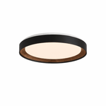 Arco Acrylic Ceiling Light – Modern Minimalist Flush Mount with Walnut Accent