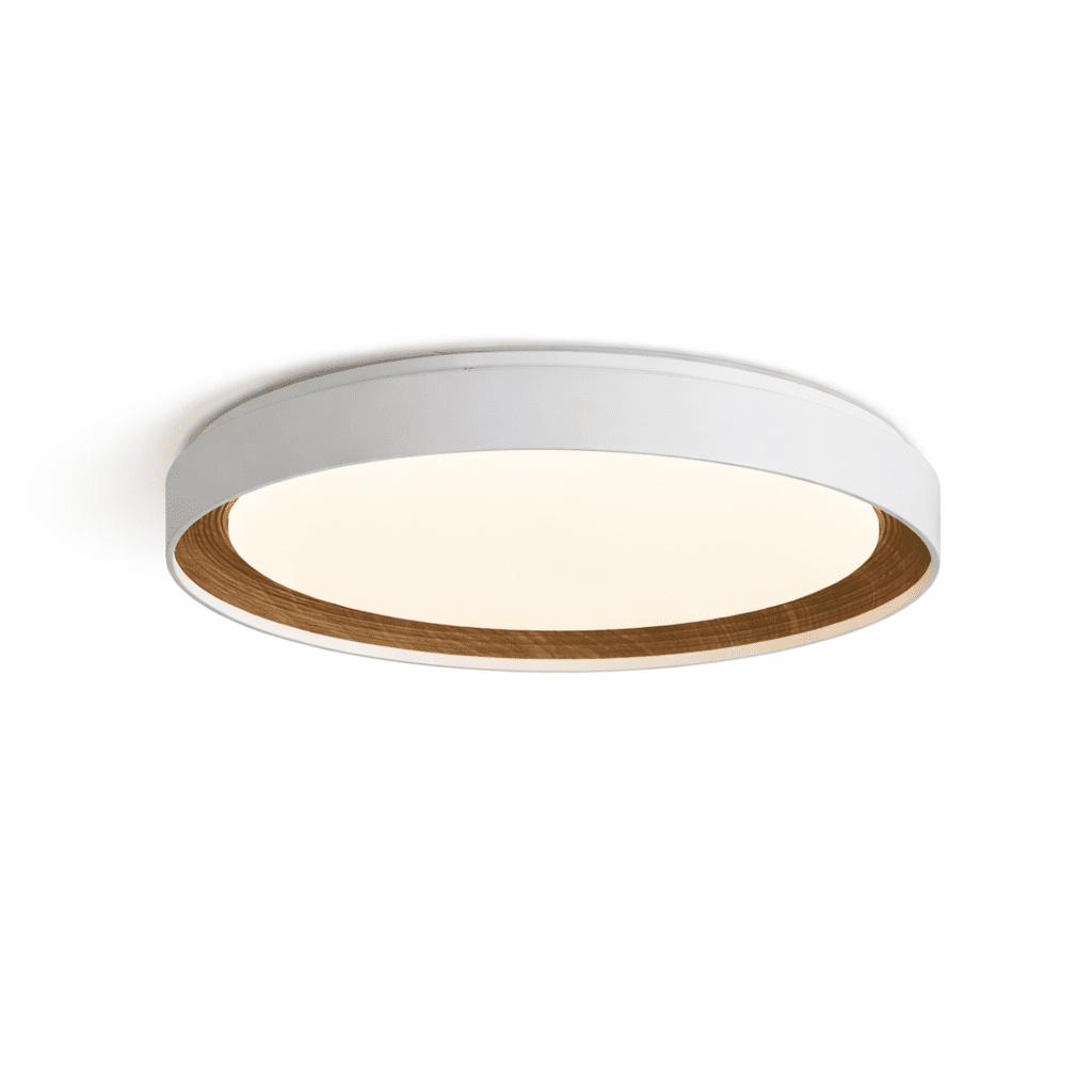 Arco Acrylic Ceiling Light – Modern Minimalist Flush Mount with Walnut Accent