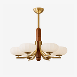 Eldric Modern Glass Chandelier for Dining Room and Living Room