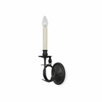 Elara Sculptural Bird Wall Sconce in Iron and Brass
