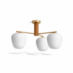 Auren Branch Ceiling Light – Modern Brass and Wood Semi Flush Mount