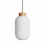 Rivena Glass Pendant Light with Wood Accent – Modern Ambient Lighting for Dining & Living Spaces