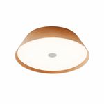 Lunara Wood Ring LED Ceiling Light – Modern Flush Mount for Bedroom & Living Room