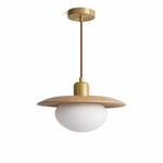 Solmere Wood Pendant Light with Frosted Glass Globe and Brass Canopy