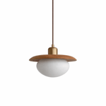 Solmere Wood Pendant Light with Frosted Glass Globe and Brass Canopy