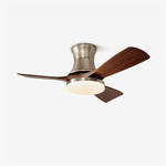 Solvane Modern Ceiling Fan Light with LED and Remote