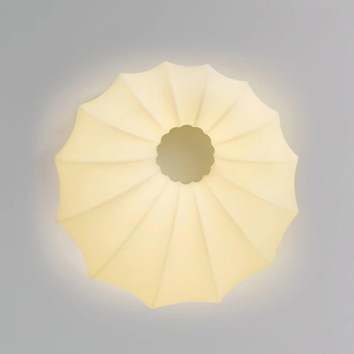 Calypso Flush Light