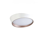 Maple Glow Ceiling Light