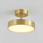 Axiom Rotating Ceiling Light