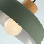 Nordic Toned Metal Pendant Light