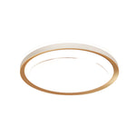 1 Light Rectangular Led Flush Mount Ceiling Light