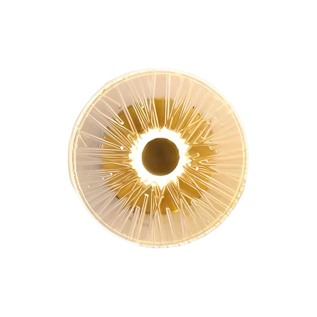 Round Led Modern Wall Light Ha091679