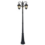 2 Lights Outdoor Pole Light Li002056
