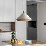 Lighting Ceiling Lights Pendant Lighting_4909B