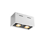 Modern Rectangular LED Surface Mounted Spotlights, Adjustable 2-Light Ceiling Fixture